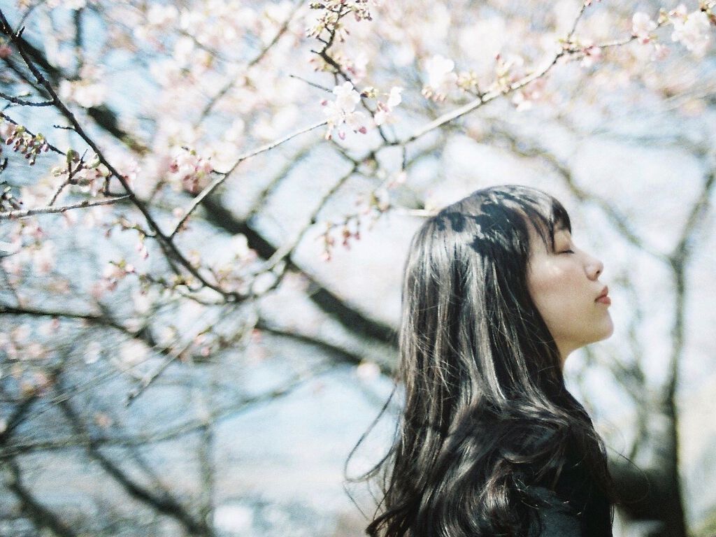 お花の香りをまといたい...♡自然にふんわり香る、桜のシャンプーって？の画像