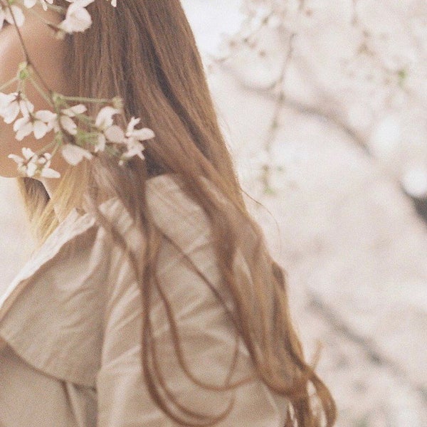 お花の香りをまといたい...♡自然にふんわり香る、桜のシャンプーって?の画像