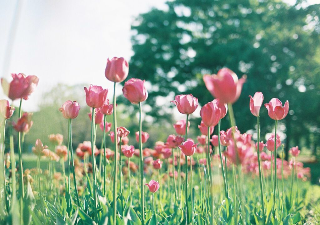 春は指先からやってくる。ゆるふわお花ネイルで季節を先取り♡の画像