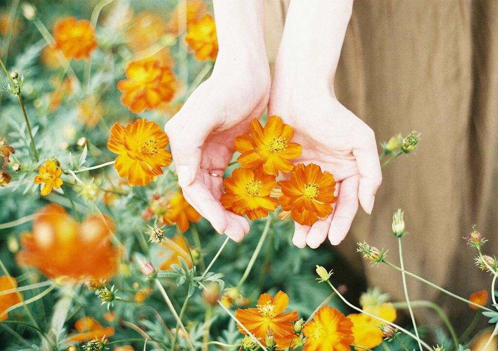 美は細部に宿るのです。【ネイルオイル】で指先ケアはじめましょの画像