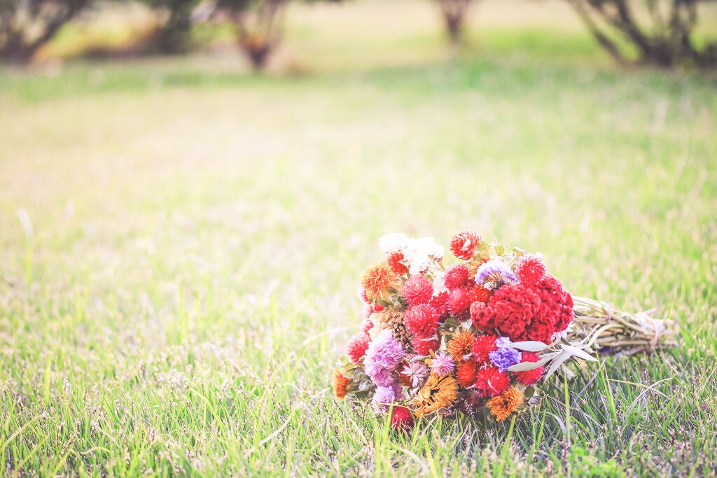 自然派由来のリップセレクション!あなたにぴったりのリップはどれ?の画像