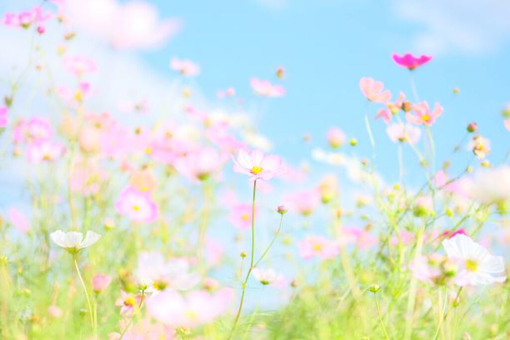 忍び寄る、紫外線シーズンに。【優秀UVカット下地】で上手に対策しちゃいましょの画像