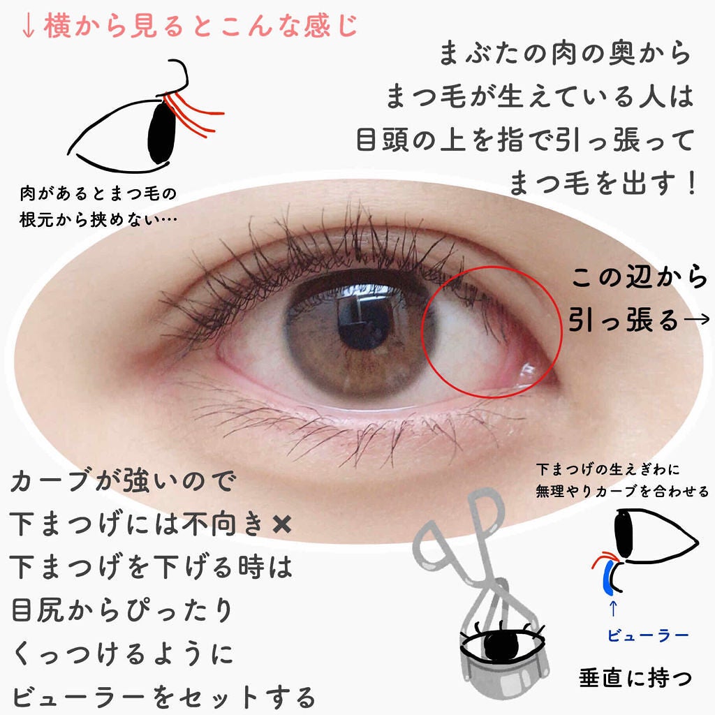 「ビューラーの使い方【初心者必見】一重・奥二重・二重別の上向きまつげを作るコツを解説!」の画像(#149966)