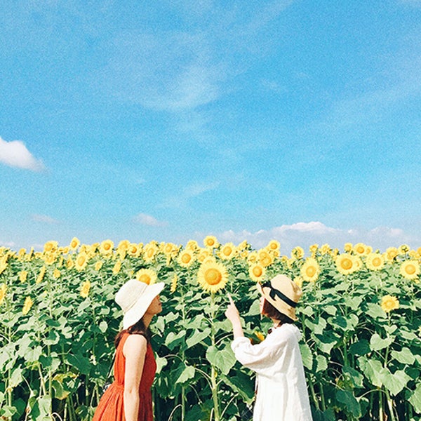 「なんか今日いつもより可愛い!」そんな"ふたえ"のつくり方、知りたくない?の画像