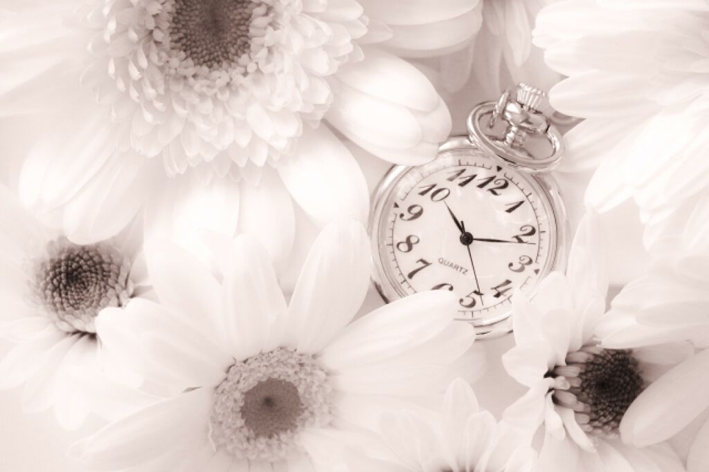 【決定版】マニキュアの落とし方!爪を傷めないコツやおすすめ除光液もご紹介の画像