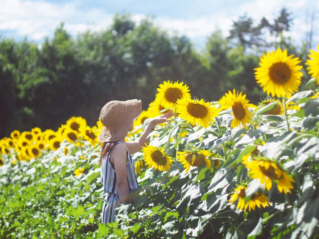 夏はもうすぐ目の前!アイメイクも衣替えの季節です♡の画像