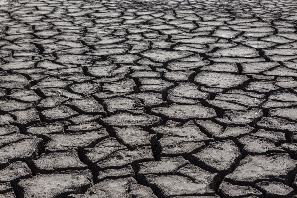 目立つブツブツにサヨナラを!角栓ケアのやり方・人気コスメランキング21選の画像