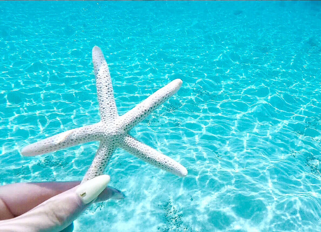 驚くほどの水分量。私は「水分爆弾」の虜です♡の画像