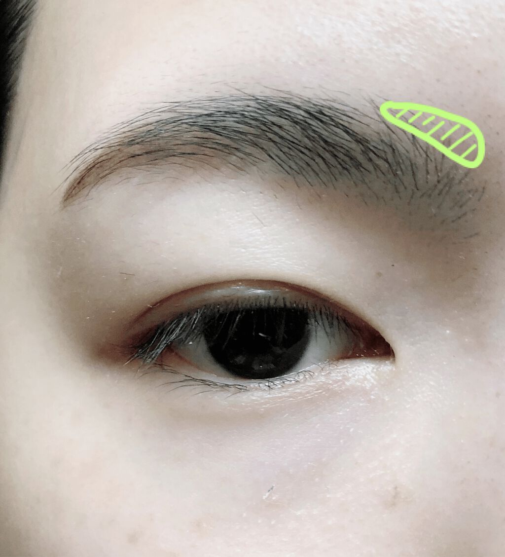 アイブロウパウダーの使い方!初心者でも垢抜け眉毛が簡単にできる♡おすすめ商品紹介もの画像