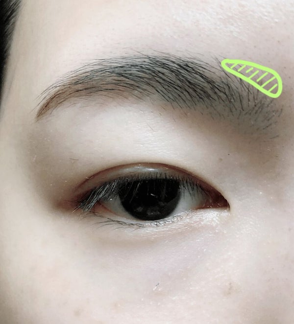 アイブロウパウダーの使い方!初心者でも垢抜け眉毛が簡単にできる♡おすすめ商品紹介もの画像