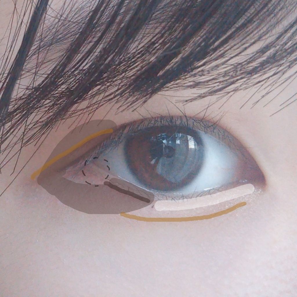 「アーモンドアイメイクとは?一重・奥二重・二重別のやり方|整形なしでかわいい目元♡」の画像(#179283)