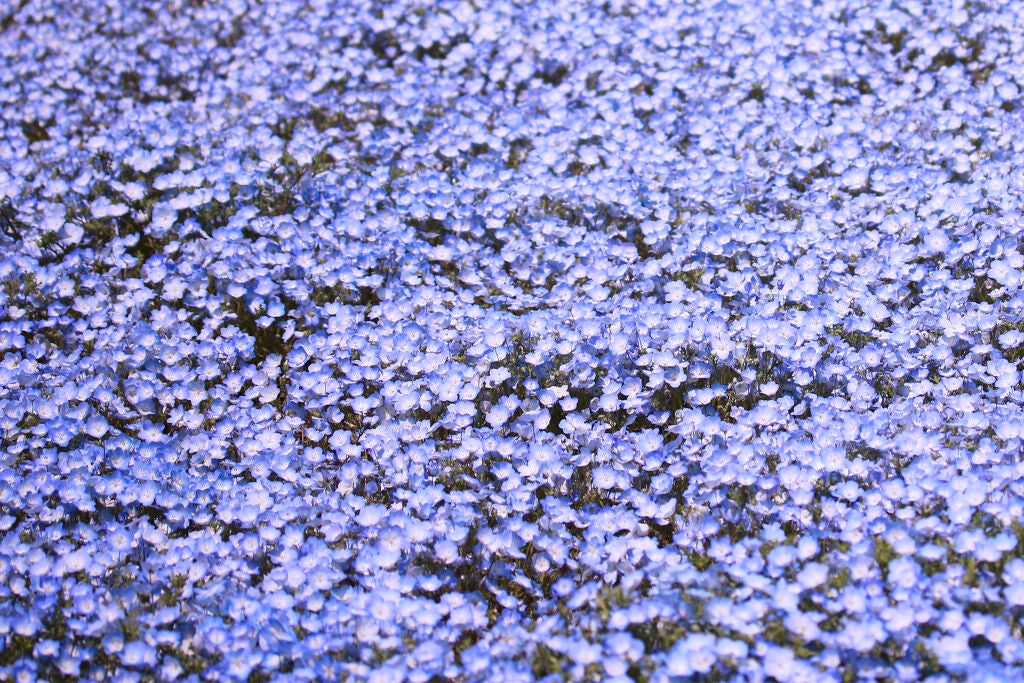 潤んだ瞳はキラキラなアイシャドウで手に入る!毎日にきらめきを♡の画像