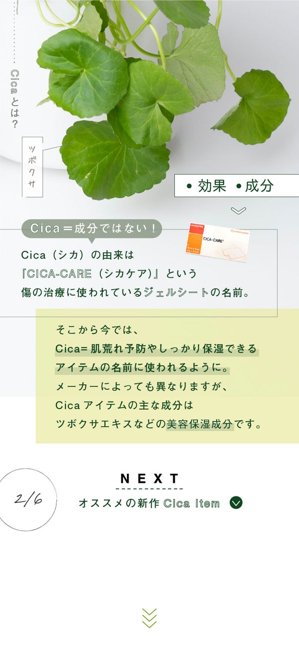 【What is " Cica"?】バズってるシカとはの画像