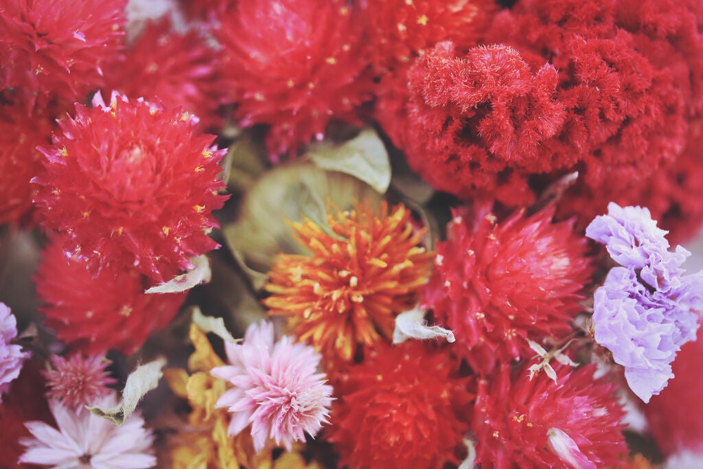 肌荒れを簡単予防《ポンプ式ハンドクリーム》おすすめ14選!おしゃれ~子供が使えるものまで徹底網羅の画像