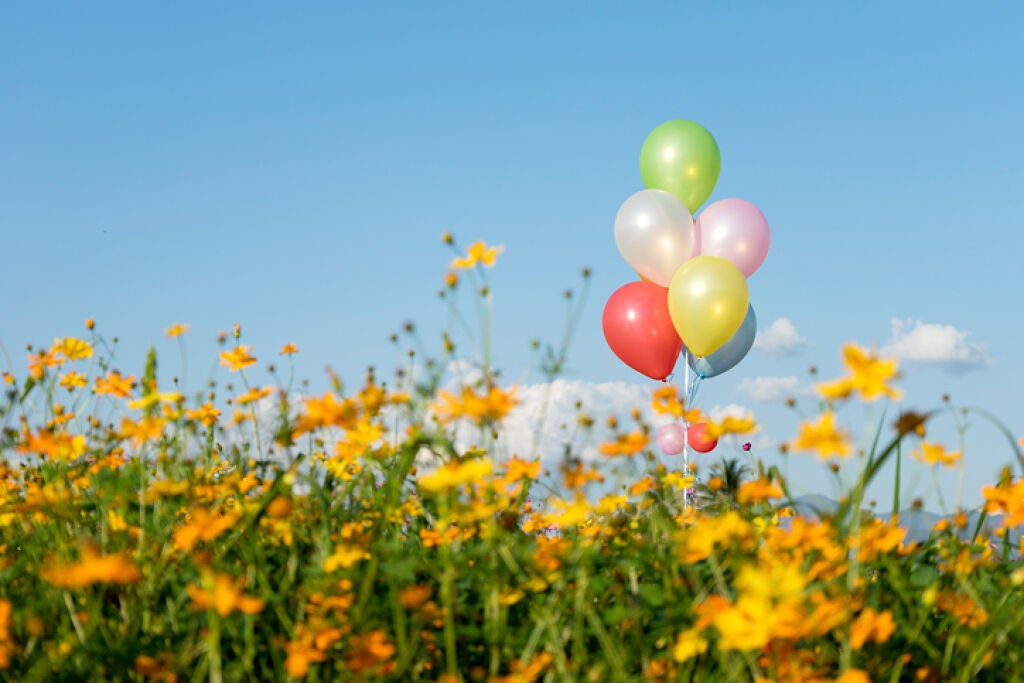 イエベ・ブルべ肌に似合う秋色プチプラリップ【イエベ編】の画像