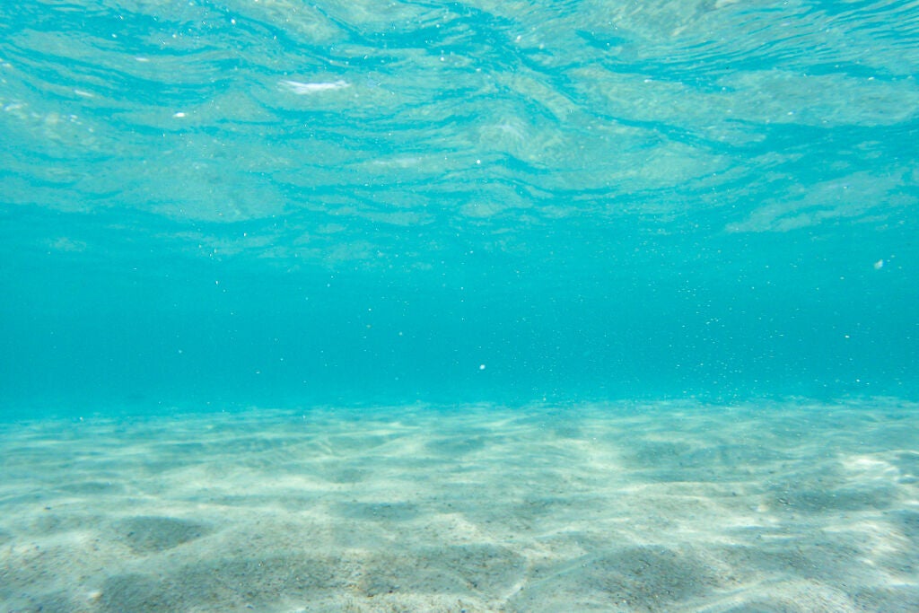 見た目も使い勝手も豪華!Elégance(エレガンス)で知っておきたいコスメを厳選♡の画像