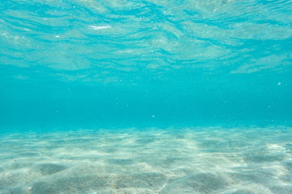 見た目も使い勝手も豪華!Elégance(エレガンス)で知っておきたいコスメを厳選♡の画像