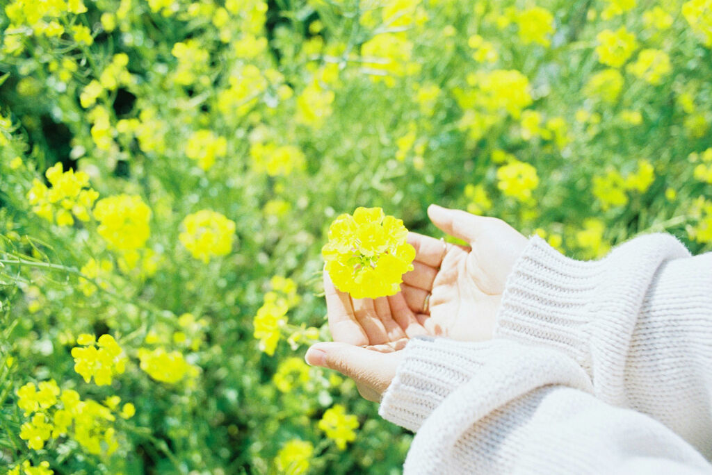 だって美肌がいいんだもん♡今から始める、お肌に優しい使い心地《UVケア》の画像