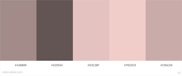 ブルべに合うブラウン系カラースケール