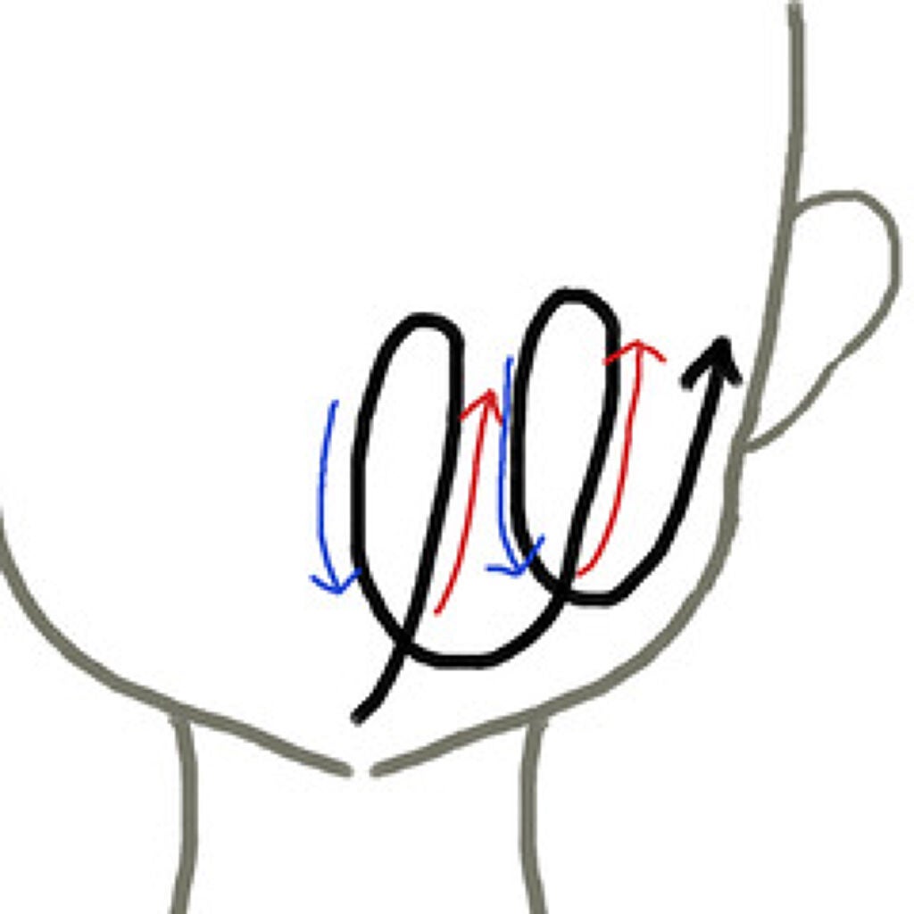 おすすめ顔用マッサージオイル11選|エステティシャン直伝!顔のマッサージ方法もの画像