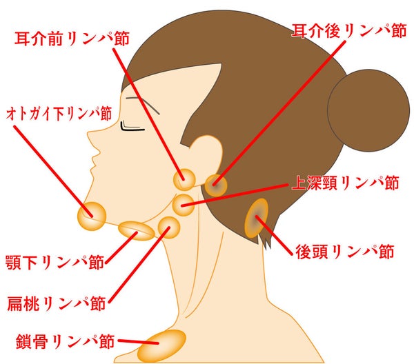 なかなか消えない青グマの原因は?コンシーラーでの消し方や簡単なケア方法を解説の画像