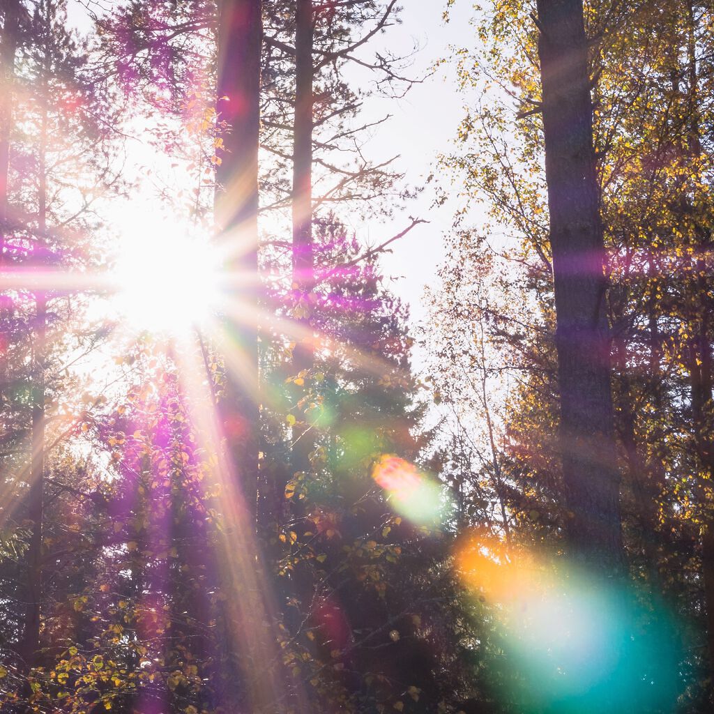 化粧水を冷蔵庫で保管するのはアリ?ナシ?正しい保管方法&保管場所、冷やせる化粧水も徹底紹介の画像