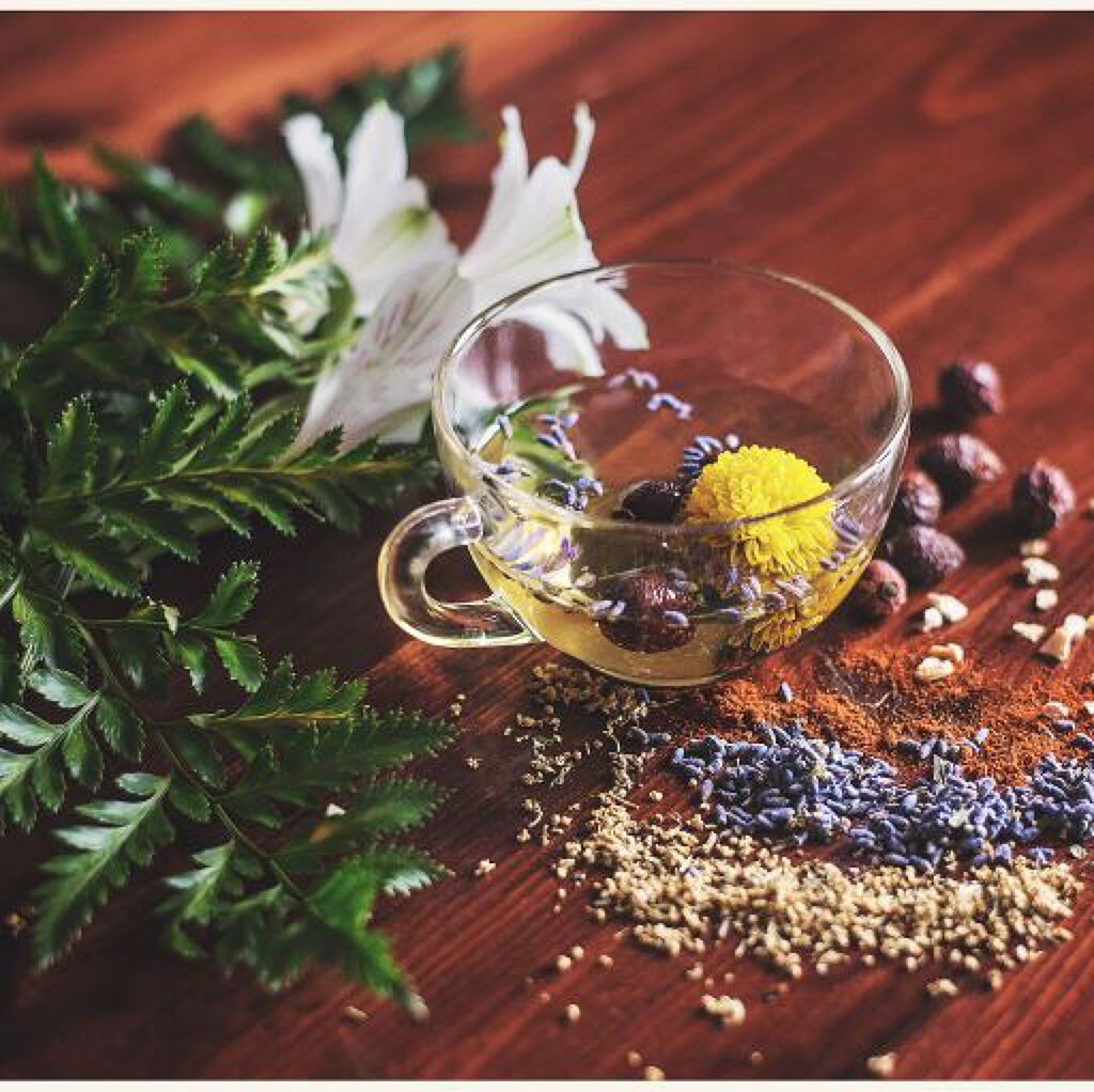 オーガニックハーブカラーとは?【色見本】6選|黒染め&白髪染めにも使えるか、色落ち後の髪色もご紹介の画像