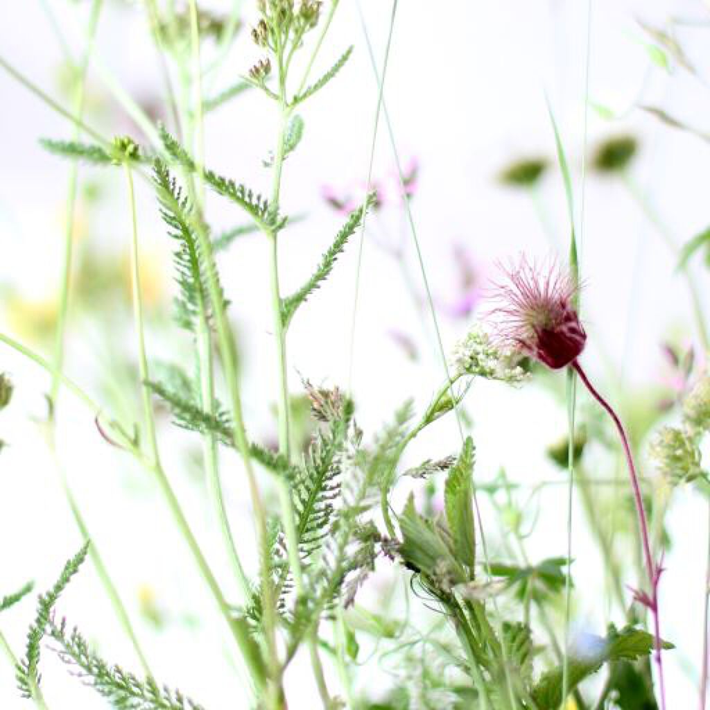 オーガニックハーブカラーとは?【色見本】6選|黒染め&白髪染めにも使えるか、色落ち後の髪色もご紹介の画像