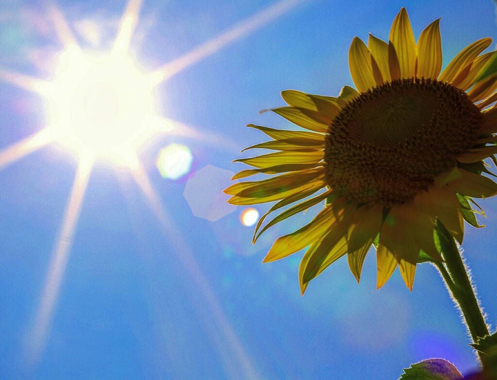 【綺麗な手になる方法とは?】簡単に出来るセルフハンドケア5選!プレゼントにおすすめ人気手袋・家電・オイルもの画像