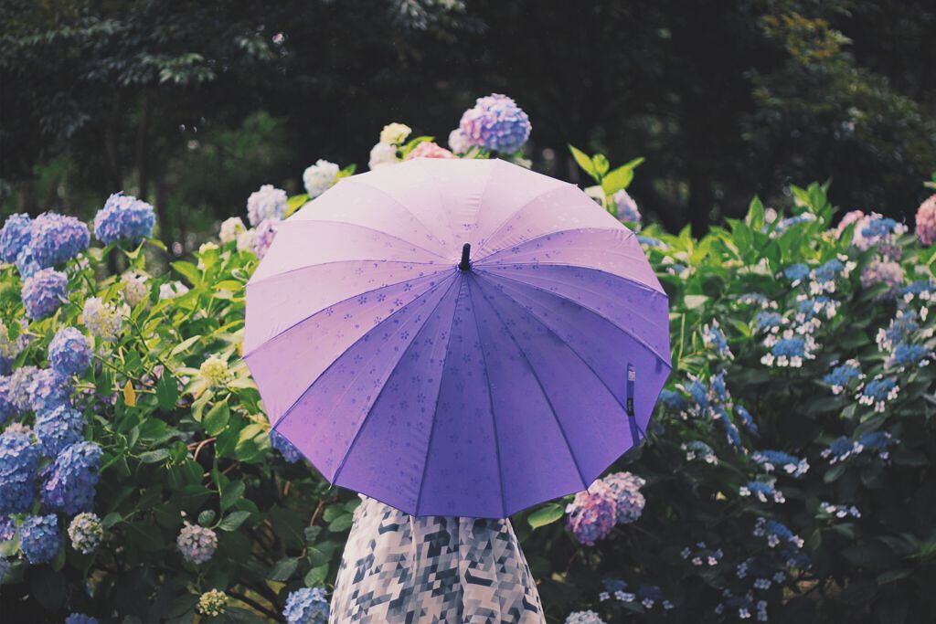 雨の日におすすめの日焼け止め10選！室内で過ごす日や冬にもぴったりの画像