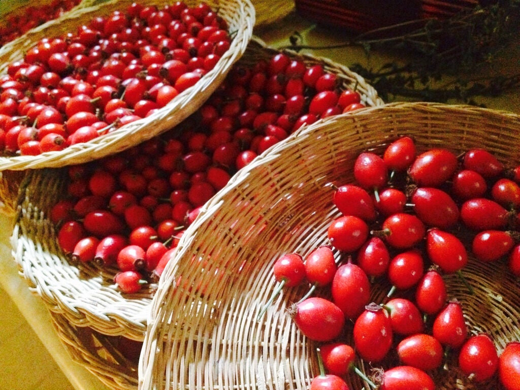 ローズヒップオイルのおすすめ9選《使い方や選び方も解説!》の画像