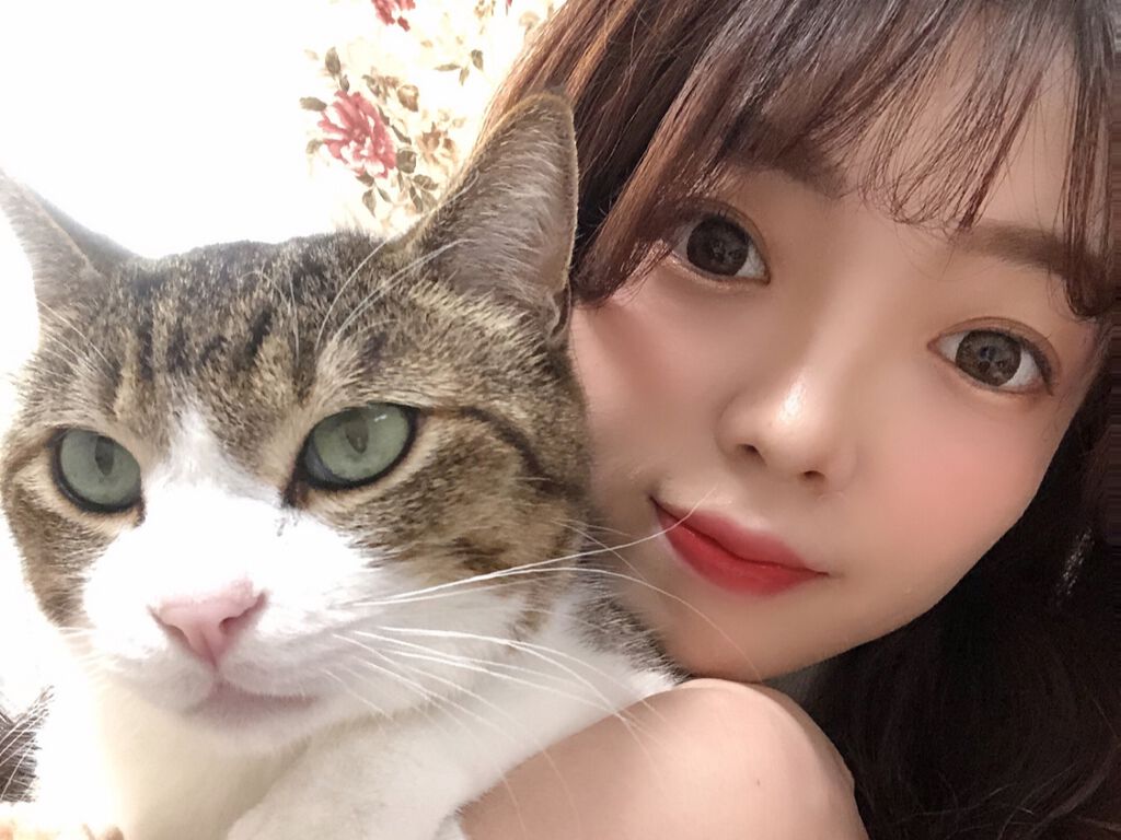【猫顔女性の特徴&メイク方法】女優や韓国アイドル風のかわいい猫顔をゲットしよう♡の画像
