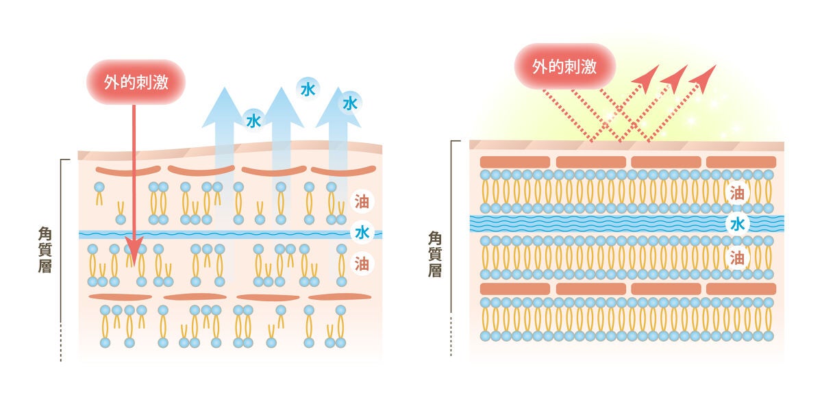 【おすすめアイテム6選】セラミド化粧品の効果と選び方を解説!の画像