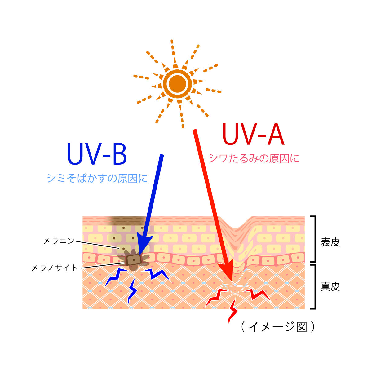 曇りの日でも日焼けには要注意！うっかり日焼けを防ぐおすすめの日焼け止め6選の画像