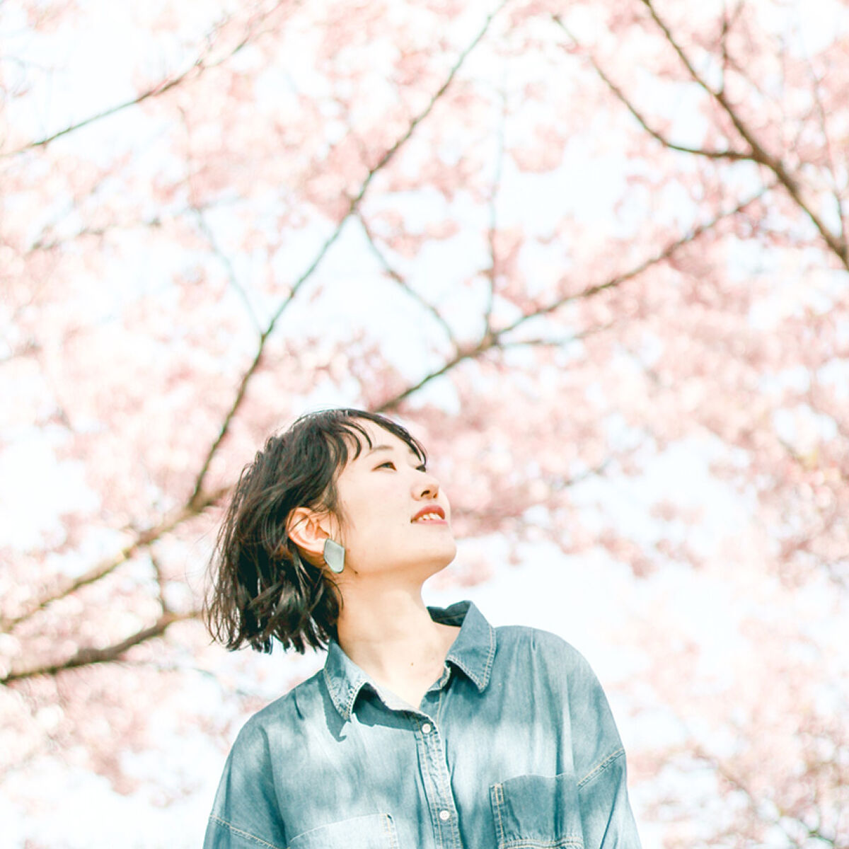 ちょっぴり早い、春気分。「&honey」から、サクラシリーズのお便りです。の画像