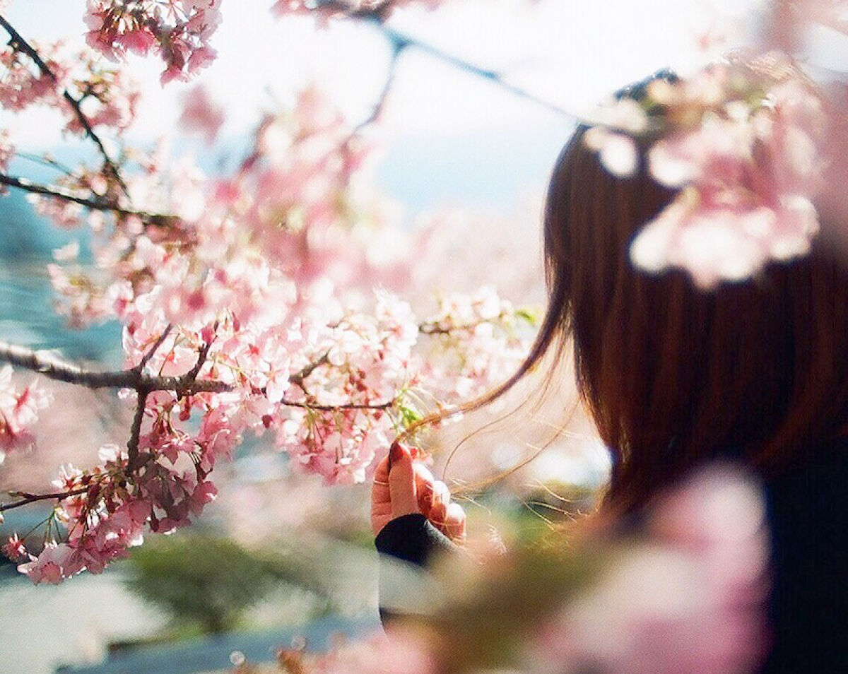 《春気分》桜アイテムで、気分も華やかに新生活を楽しみましょ。の画像