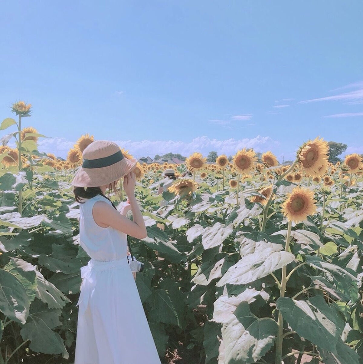 子供のムダ毛ケアに!市販で買えるおすすめアイテム20選【カミソリ・電動シェーバー・除毛クリーム・ローション】の画像