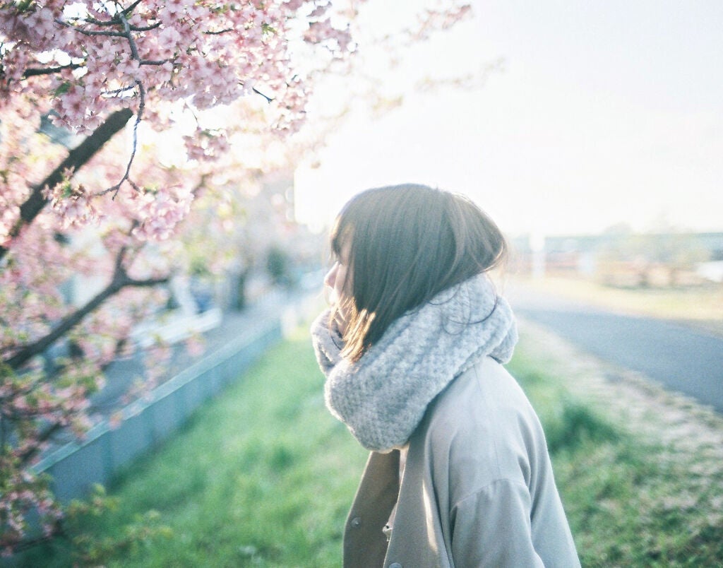 【限定品】もう春が待ちきれない!"さくら"コスメで一足早く春を感じよう♡の画像