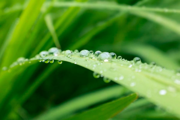 化粧水と〇〇で終わり!10秒で終わるスキンケアでもっと楽しよう♡の画像