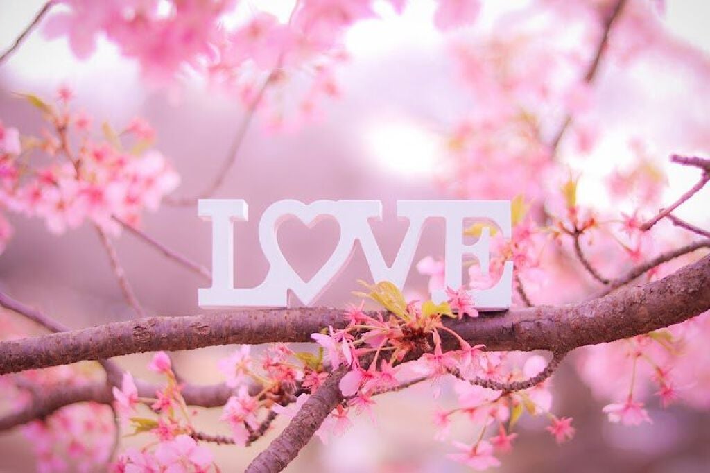 恋に効く?さくらコスメ8選♡の画像