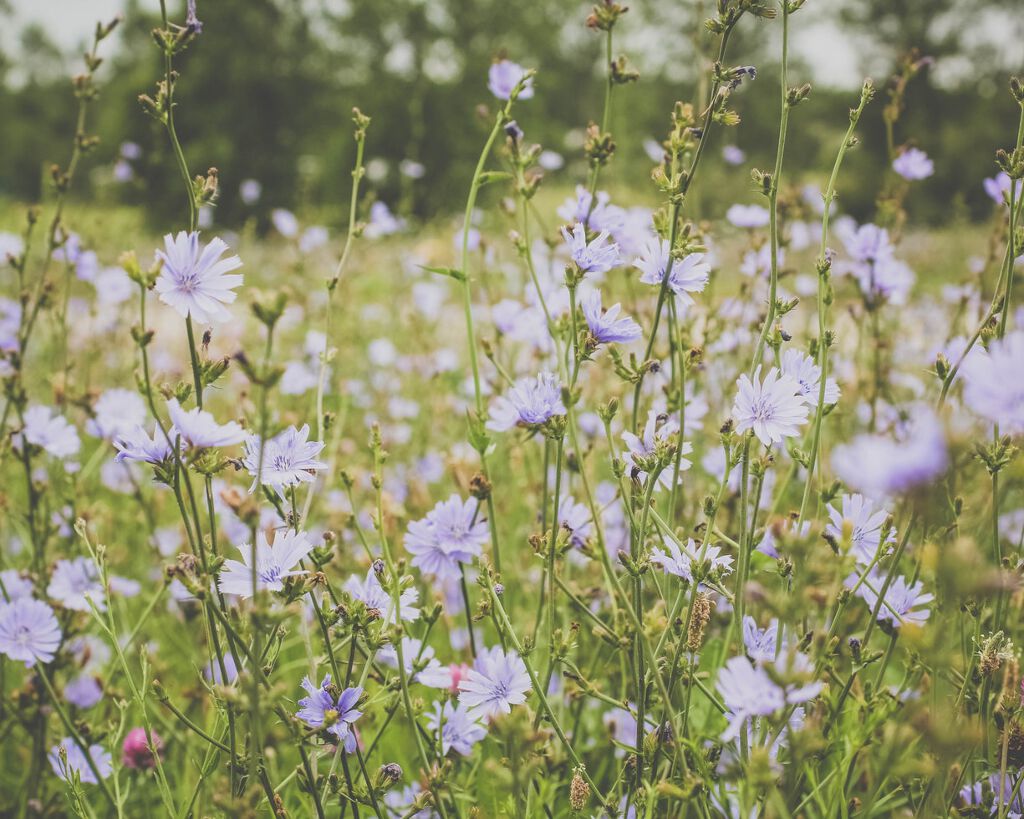 紫外線対策が透き通る肌への第一歩♡春から使う日焼け止め紹介します!の画像