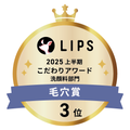 LIPSベストコスメ2025 LIPSベストコスメ2025 こだわりアワード 毛穴