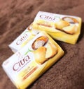 Citra(チトラ)