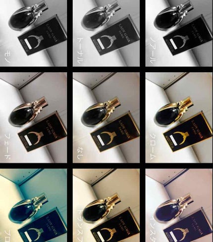 LADY GAGA FAME