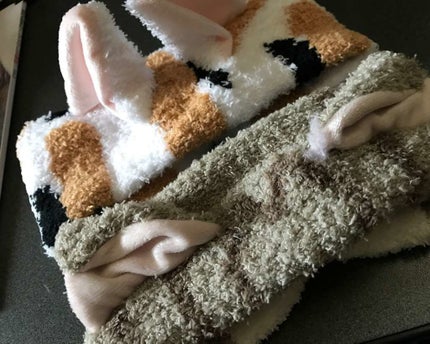 フェリシモ猫部