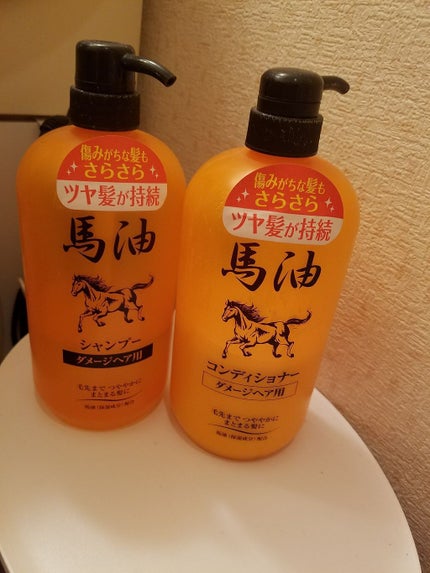 純ケミファ