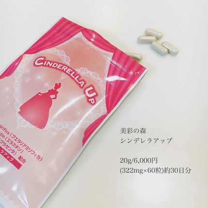美彩の森