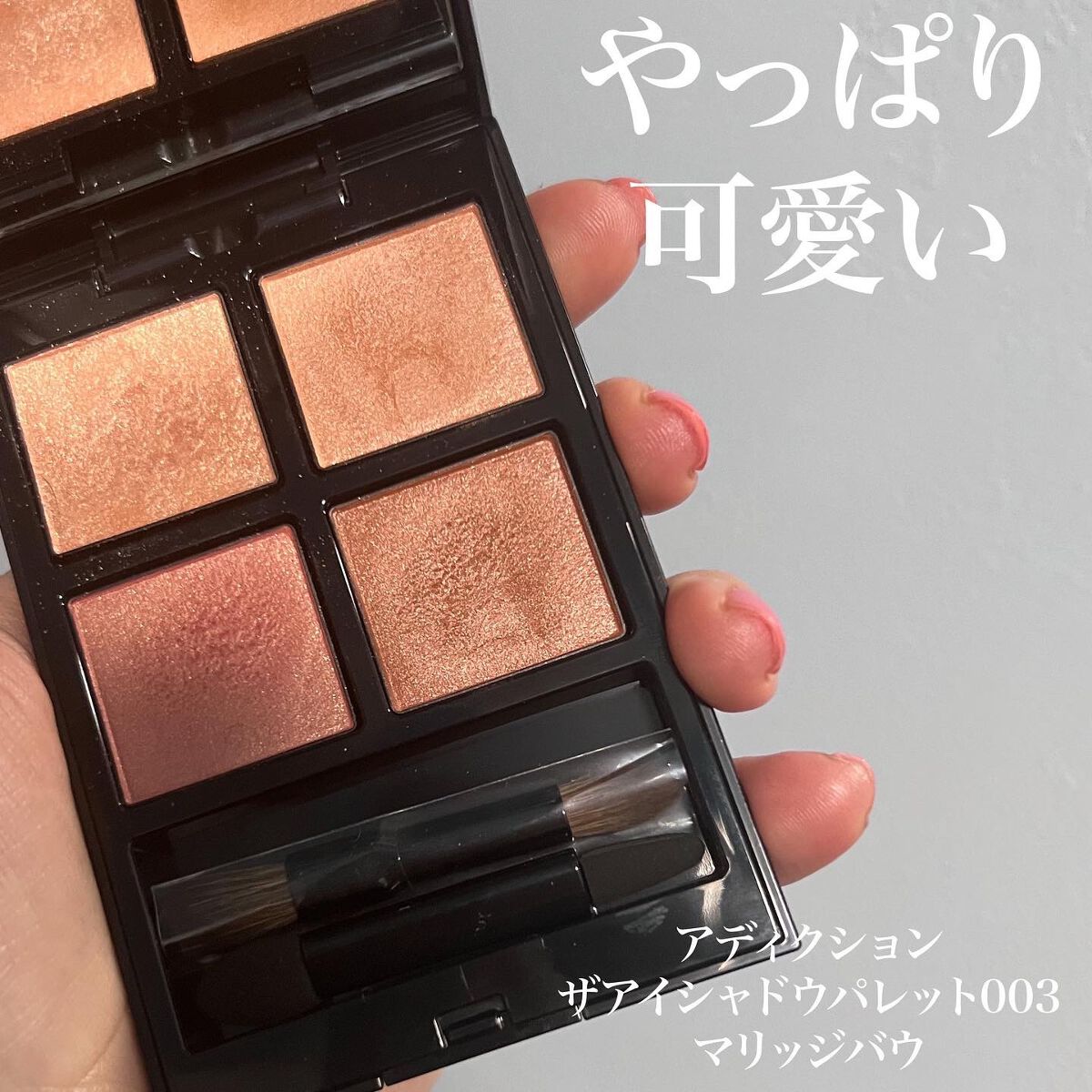 アディクション ザ アイシャドウ パレット/ADDICTION/アイシャドウパレットを使ったクチコミ(1枚目)