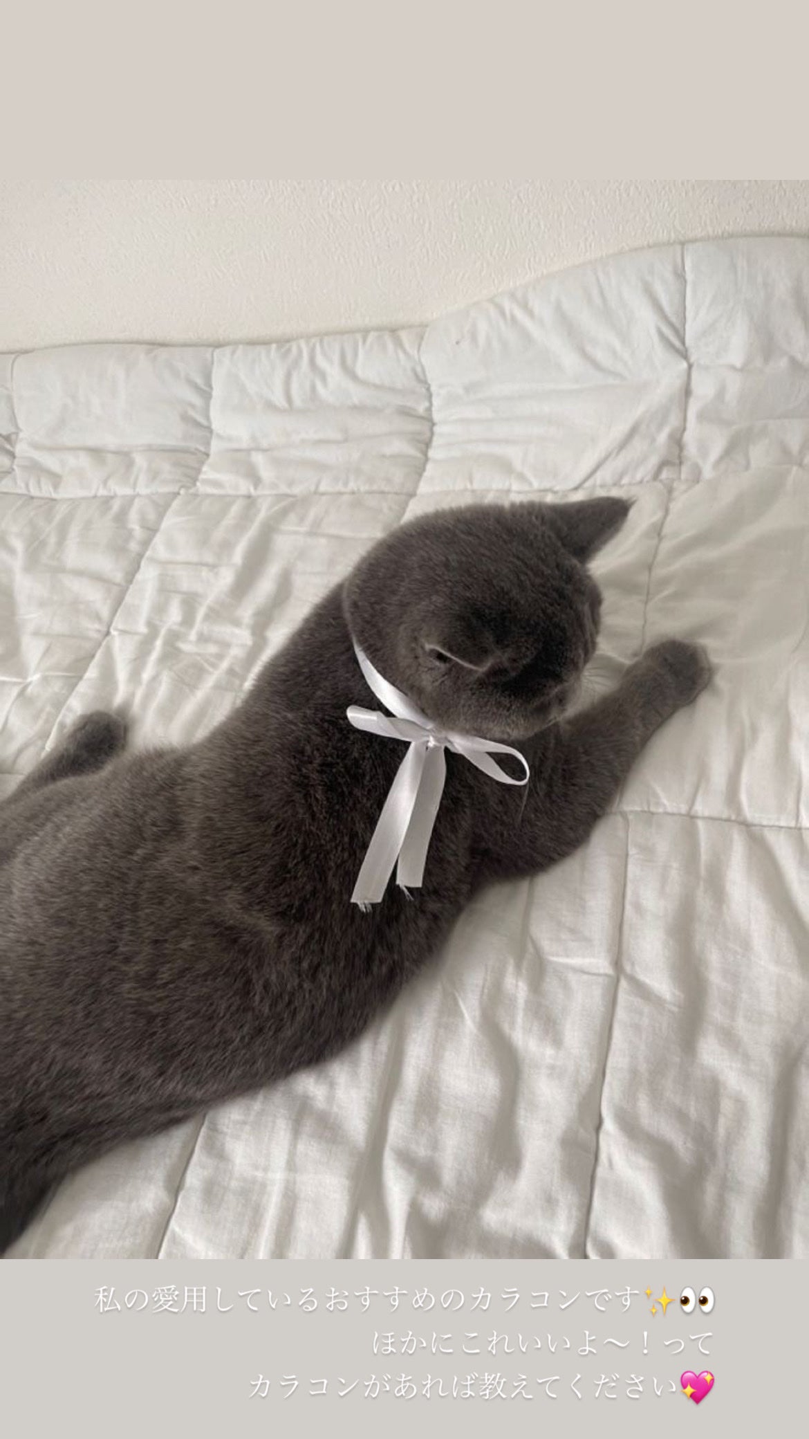 ððšð¢ ãã©ãã100 on LIPS ã#ã«ã©ã³ã³#ãªãŒã¬ã³ãº#OLENS#ã¢ã€ã¡ã€ã¯ç§ã®æçšãæ°ã«å
¥..ãïŒ1æç®ïŒ