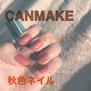 CANMAKE カラフルネイルズ

🍁新色   N14 レディテラコッタ 
友達がつけていて 一目惚れして即購入。

👍🏻Good Point
・速乾 (一度塗りだと3分くらいで乾く)
・安い！税抜き3